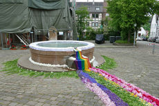 Bluemteppich auf dem Naumburegr Marktplatz (Foto: Karl-Franz Thiede)